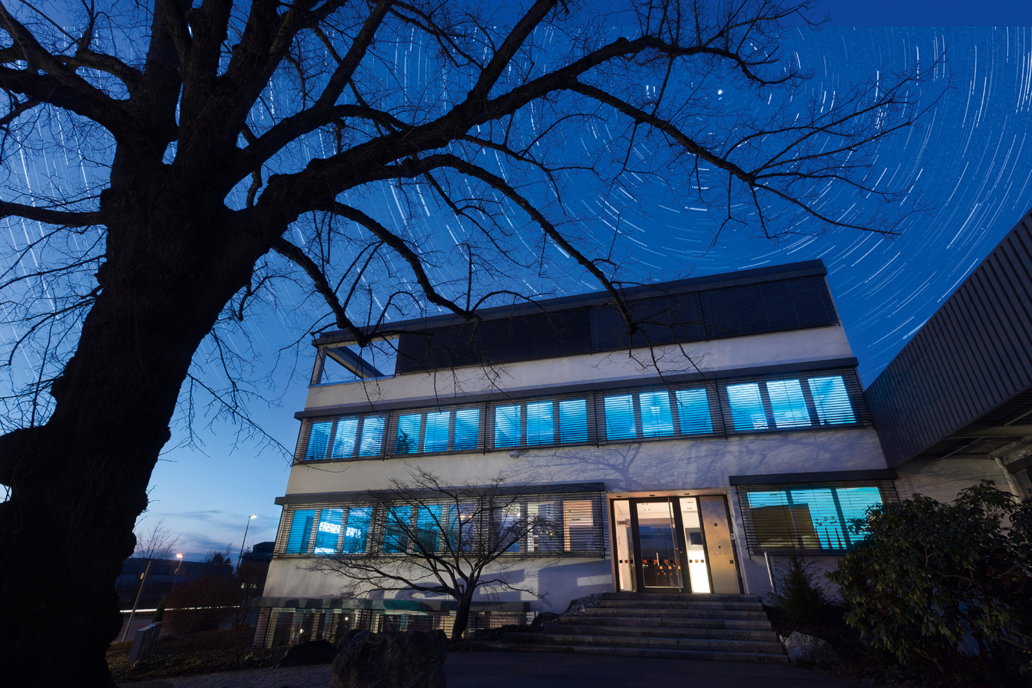 MBA 50 years of experience and quality