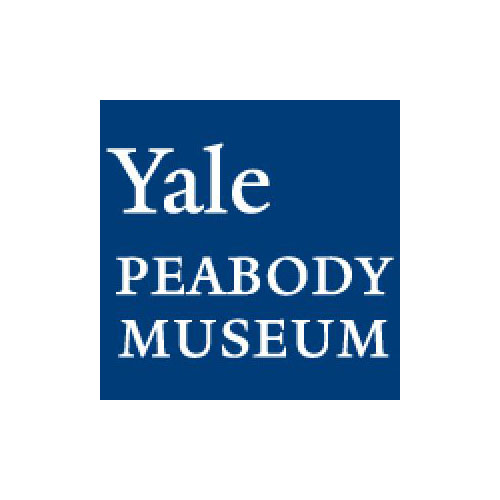 Yale trusts MBA Walls